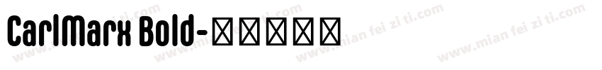CarlMarx Bold字体转换
